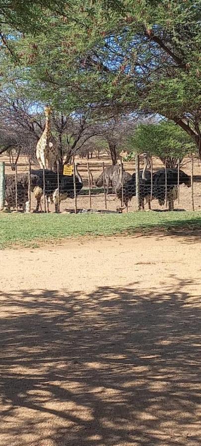 Ombo Rest Camp Hotel Okahandja Ngoại thất bức ảnh